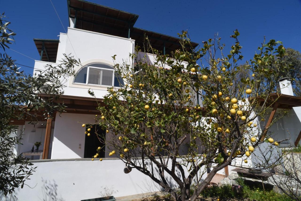 Bernie House 2 Apartman Mélanesz Kültér fotó